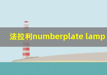 法拉利numberplate lamp failure